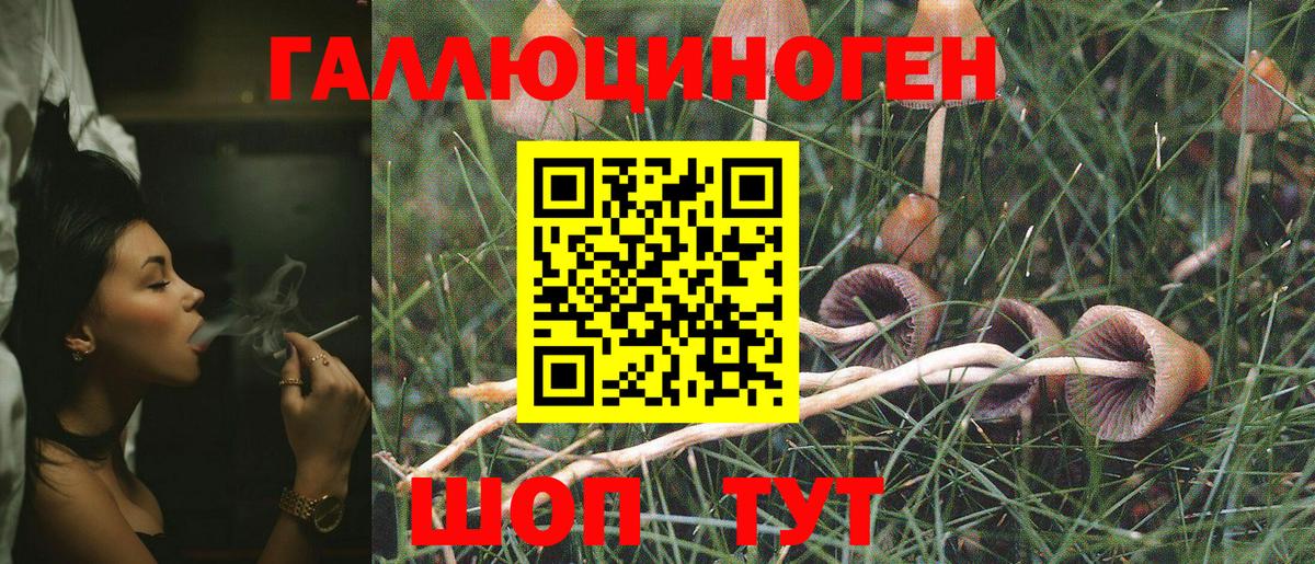 Учалы  Псилоцибиновые грибы мухоморы  купить  цена  Вход с VPN 